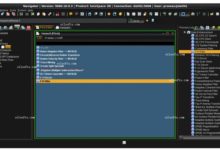SeisSpace ProMAX 5000 V10-Software training,tutorials,download,torrent