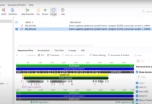 Geneious Prime 2023.2_Bioinformatics Software-Software training,tutorials,download,torrent
